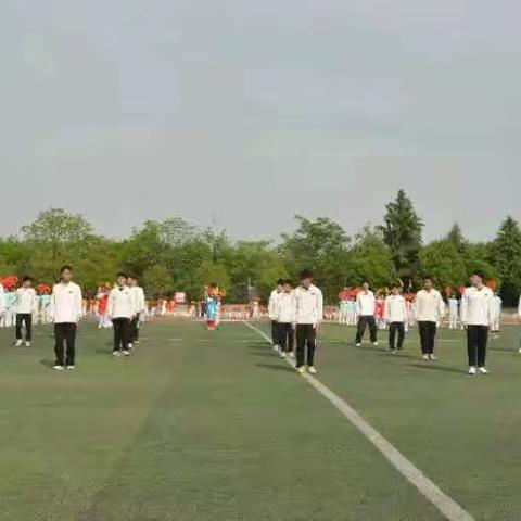 运动会武术队表演
