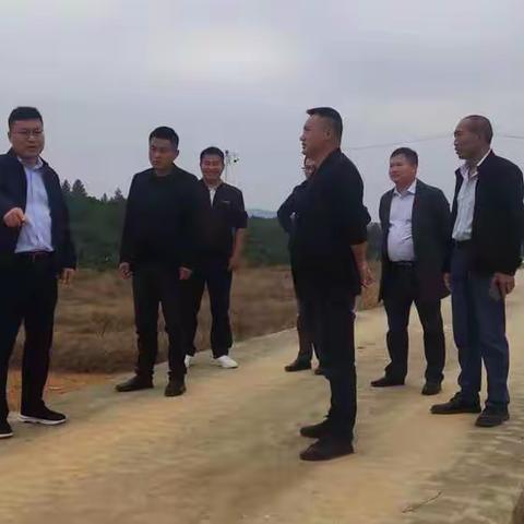 响水滩乡新农村建设周报11-10