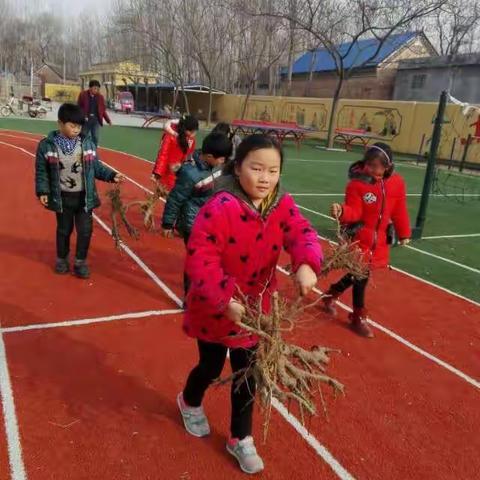 河西董小学植树活动中