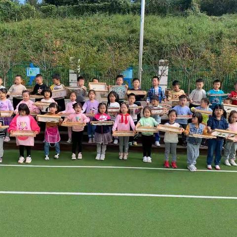 美丽的花草纸——我们来啦~