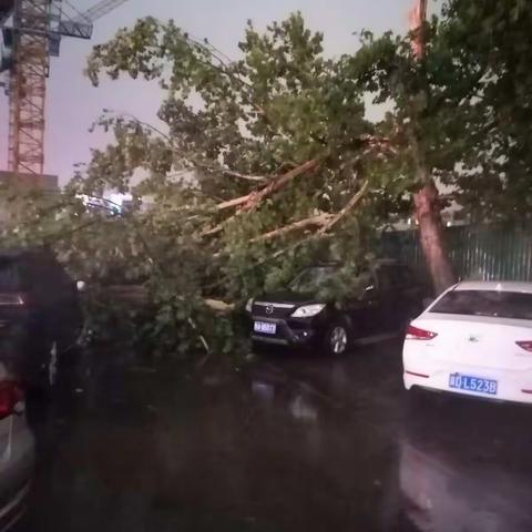 他说风雨中这点痛算什么