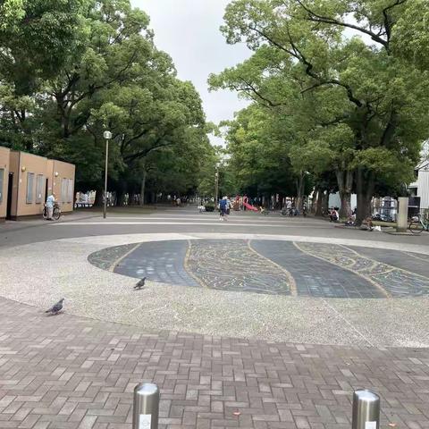 入境时的忐忑——日本生活散记之一