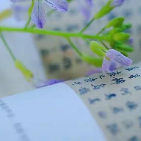 春光潋滟晴方好，熟读精思绘导图——莱西市济南路中学语文组经典阅读思维导图展示