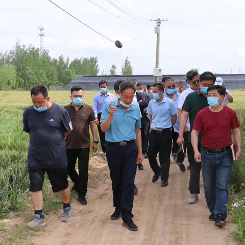 回河街道开展第九期"头雁论坛"暨五星级村党组织集中授牌仪式