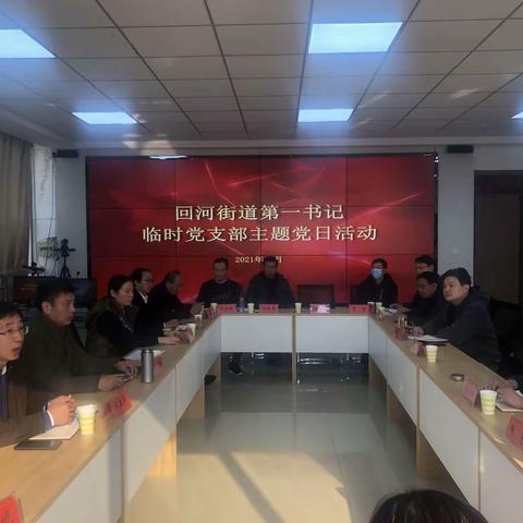 回河街道第一书记临时党支部开展主题党日活动