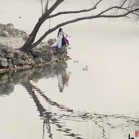 沣园什草（四）