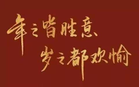 陆营镇卫生院新年致词
