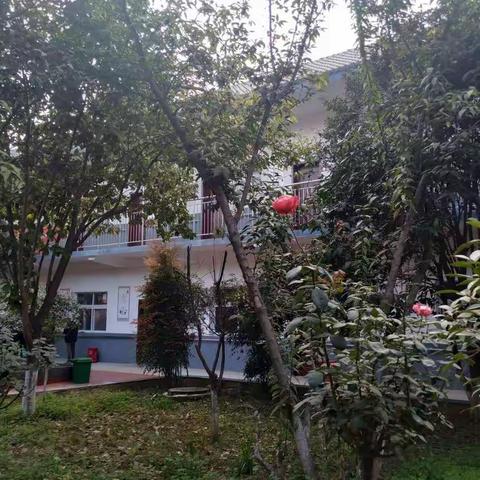 情暖重阳，爱心敬老！陆营镇助力脱贫攻坚献爱心现场