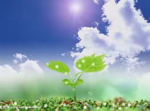 🌏我是环保小达人🌍—明华小学1702废品回收亲子活动