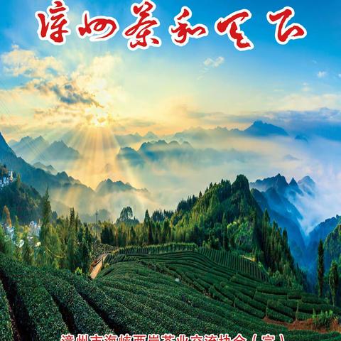 漳州茶 和天下