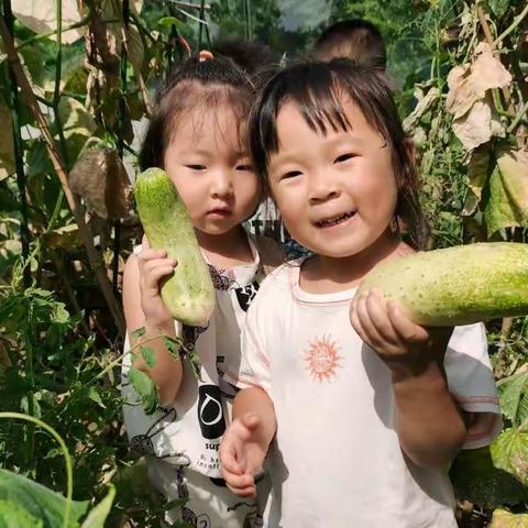 幼儿园的丰富生活之照片雨来啦😎