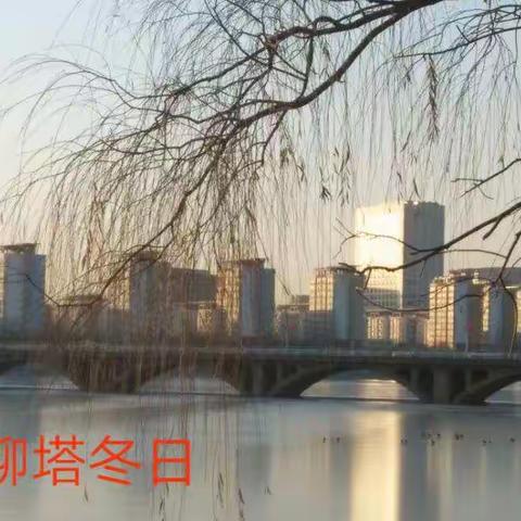 美