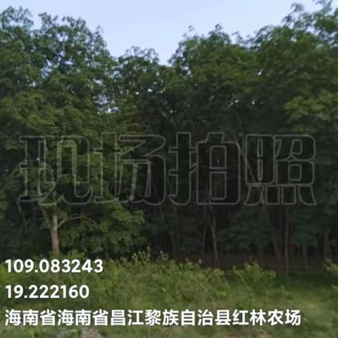 强化大气污染防治网格化管理 坚决打赢打好蓝天保卫战