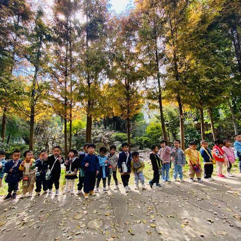 秋风在野，共赴一场秋日之旅——大理市墨弦书院幼儿园豆芽班特辑