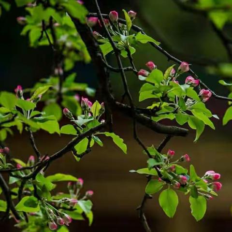 郇封二中七年级数学观课议课活动