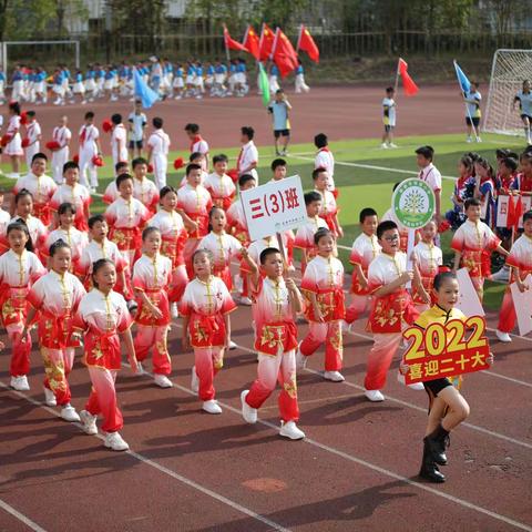 喜迎二十大，筑梦向未来——明镜小学三（3）班绿森林中队第十三届秋季运动会开幕式集锦