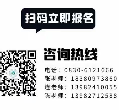 好消息！2021年暑假培训班报名开始啦！