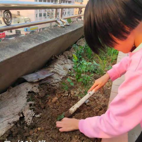 泷州小学二年级（11）班学雷锋活动