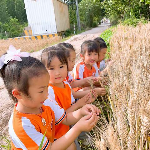 当“芒种”遇上“全国爱眼日”，好好爱眼，收获美好！