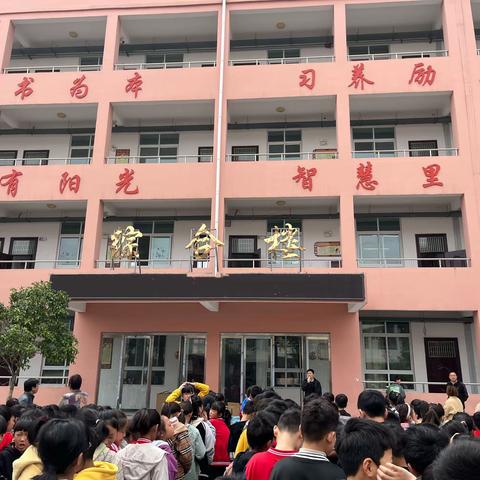 四龙小学开展诚信教育系列活动