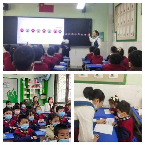 行走教研路  静待花开时