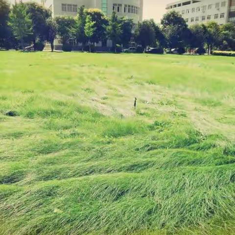 对不起，我走了……