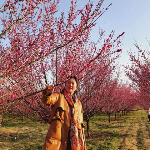 三月四日   淮源梅园