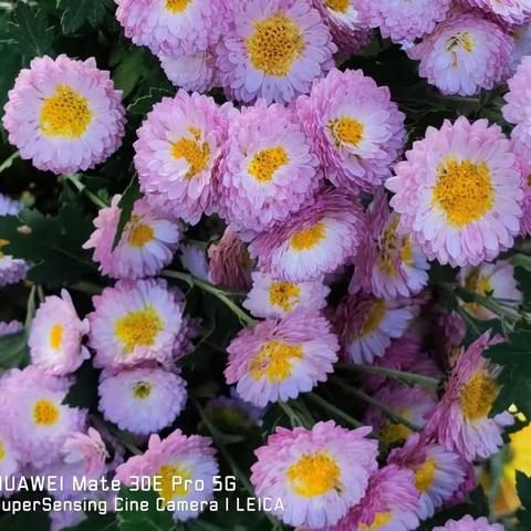 2023年   我们的三六班