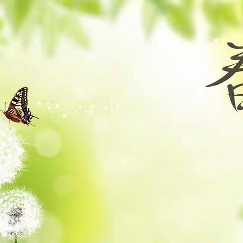 同心协力防疫情，师生齐心共奋战