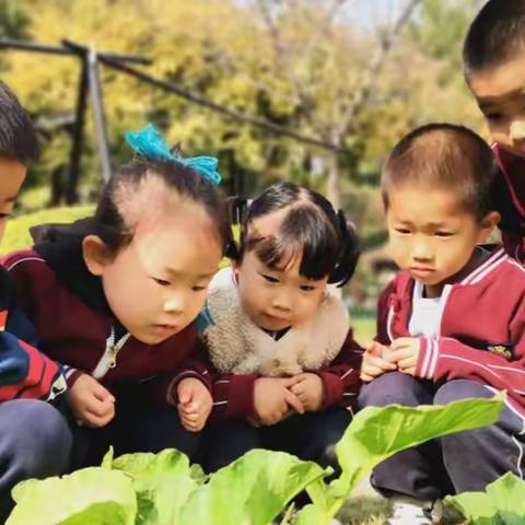 聚焦游戏 课程衍生——建桥幼儿园生成性课程教师组织观摩研讨活动