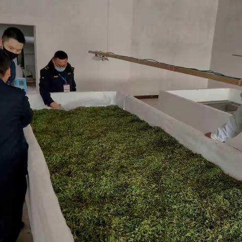 抓好“综合执法”，护我“绿水青山”