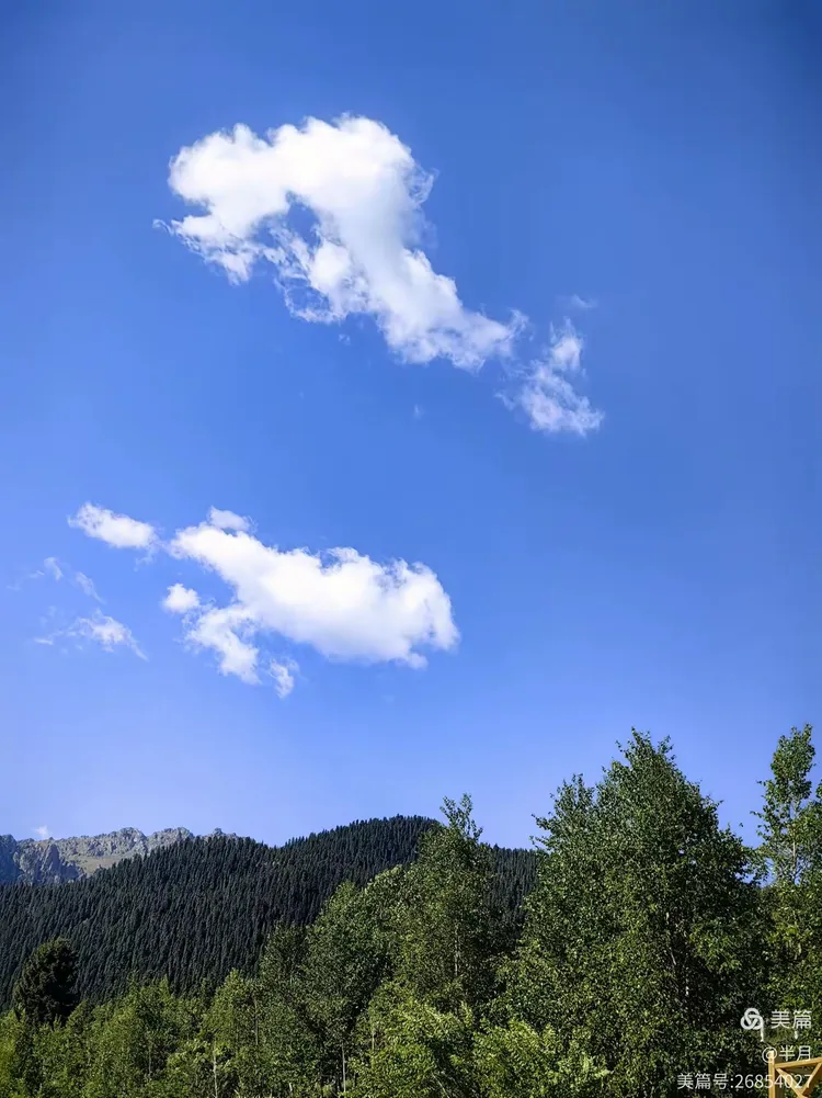 新疆天山天池百度文库
