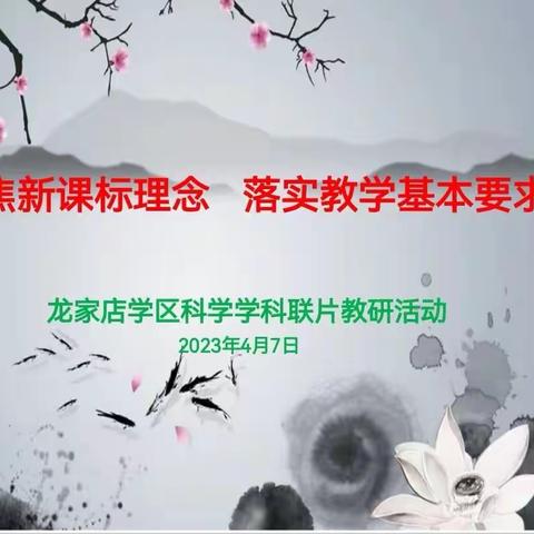 联片教研展风采，学区交流共成长