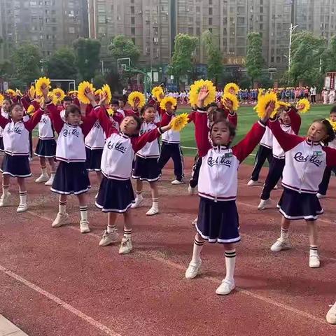 浔南体育     精彩绽放