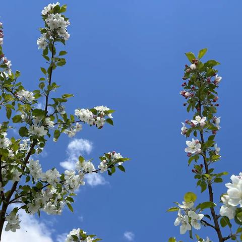 扎赉特旗特殊教育学校“点燃夏日，亲近自然”远足活动