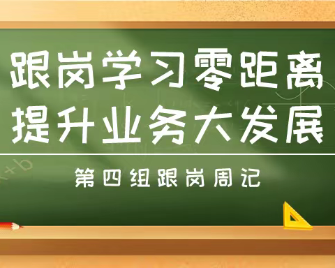 跟岗学习零距离，提升业务大发展——广州市第六批骨干教师第四组跟岗周记