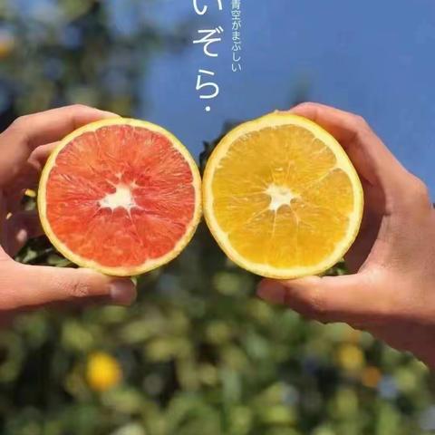 懒麻麻