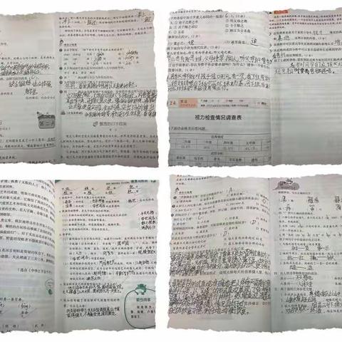 展示优秀寒假作业，呈现多彩假期生活——长春市台北明珠学校四年三班语文优秀作业展示