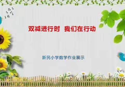 双减进行时  我们在行动——新民小学数学作业展示