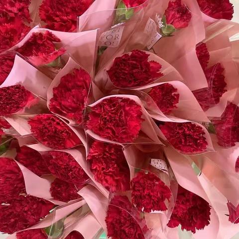 星园物业3月份月报