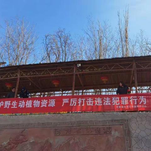 保护野生动植物   维护生物多样性