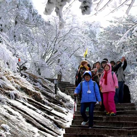 那一年登黄山邂逅“雾凇”那美景恋恋不忘