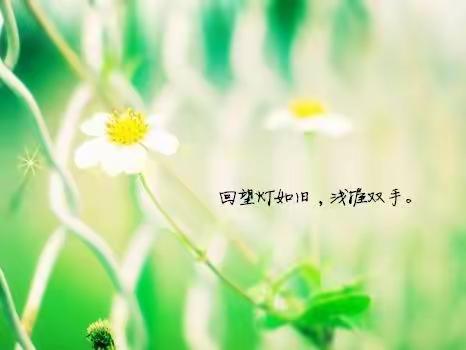 一片冰心存玉壶，朱笔绵绵谱师魂