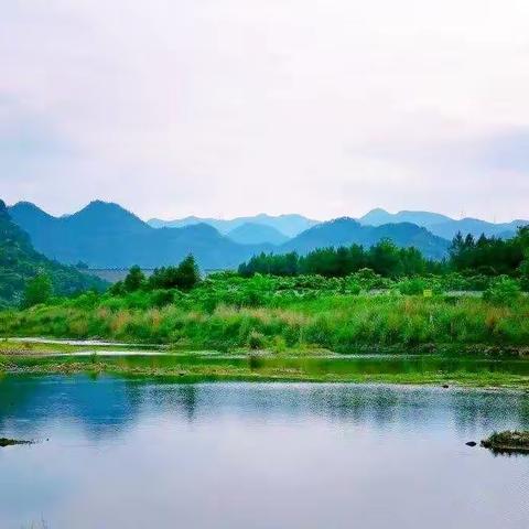 一溪流韵一溪诗    同心共晤白沙溪——虹路小学五年级白沙溪三十六堰实践活动