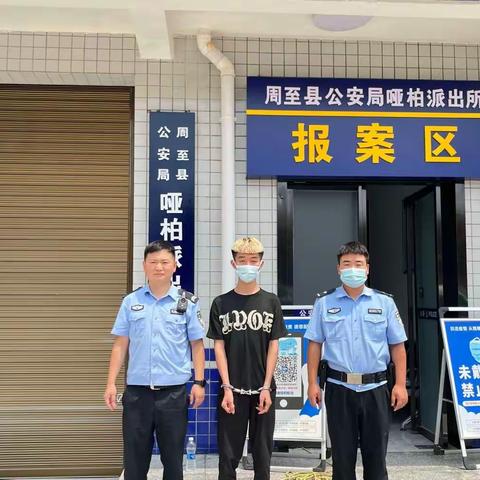 【周至公安•百日行动】哑柏派出所破获一起养老诈骗案，远赴广东抓获一人！