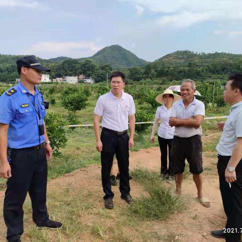 王母渡镇：全力推进遏制农村乱占耕地建房问题整治工作