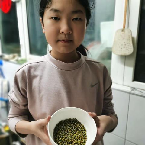 科学实验～绿豆芽生长过程