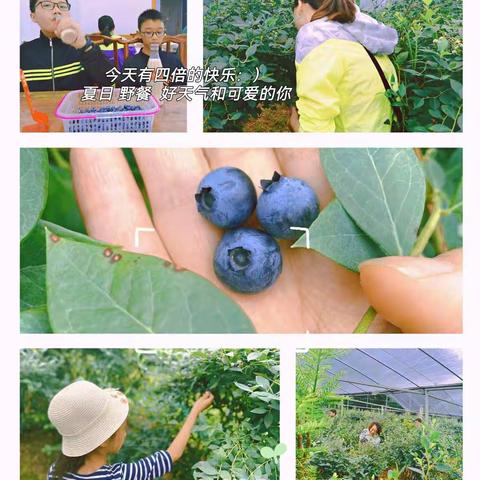 蓝莓之约，遇“建”美好