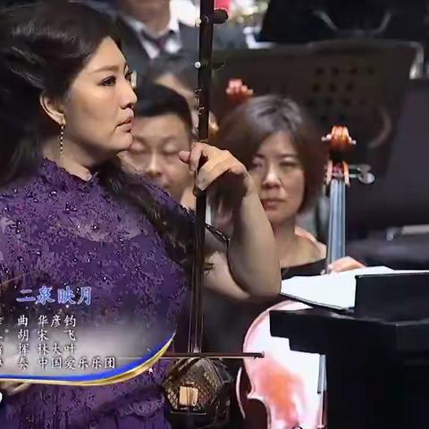 《二泉映月》二胡曲