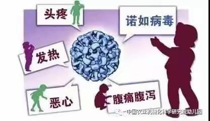 森林教育集团金石新城幼儿园——春季传染病预防诺如病毒，我们在行动